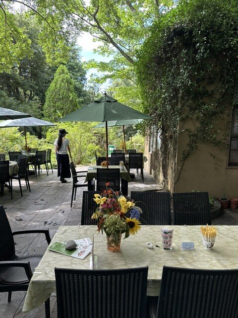 🌹 꿈의 장소 장미 정원 (도리푸레 로즈 가덴) 이미지 1